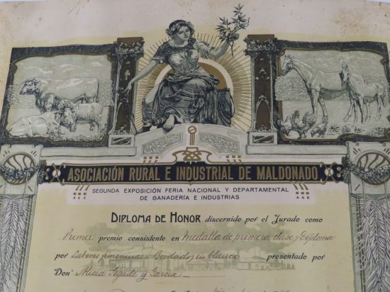 Lote: 84 - Lote: 84 - Antiguo diploma de honor