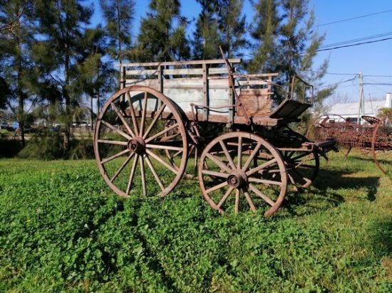 Lote: 103 - Lote: 103 - Carreta Diligencia