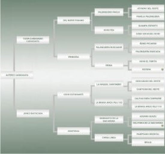 Lote: 21 - Lote: 21 - Padrillo - Alférez Caraguata