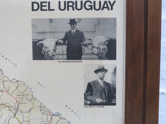 Lote: 100 - Lote: 100 - Mapa de Uruguay